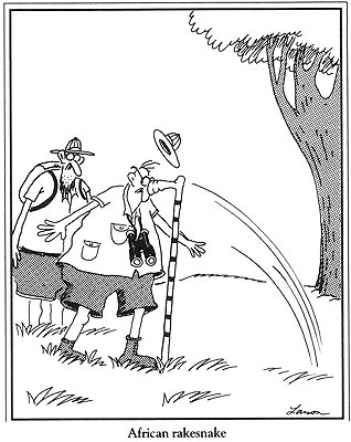 Illustration for article titled Final Farside Dose of The Day